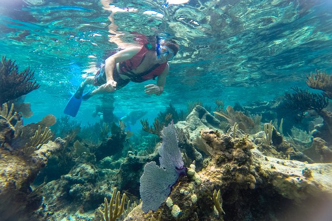 Private 3 in 1 Discovery Combo Tours Tulum Ruins, Snorkeling & Cenotes Adventure - Inclusions