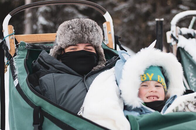 Private 30 Minute Mush Along Historic Yukon Quest Trail - Meeting the Dogs and Getting Ready