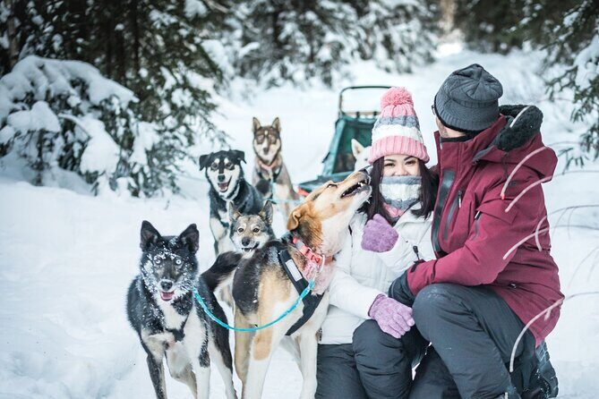 Private 30 Minute Mush Along Historic Yukon Quest Trail - Duration and Value