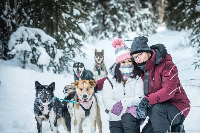 Private 30 Minute Mush Along Historic Yukon Quest Trail - The Experience’s Charm and Authenticity