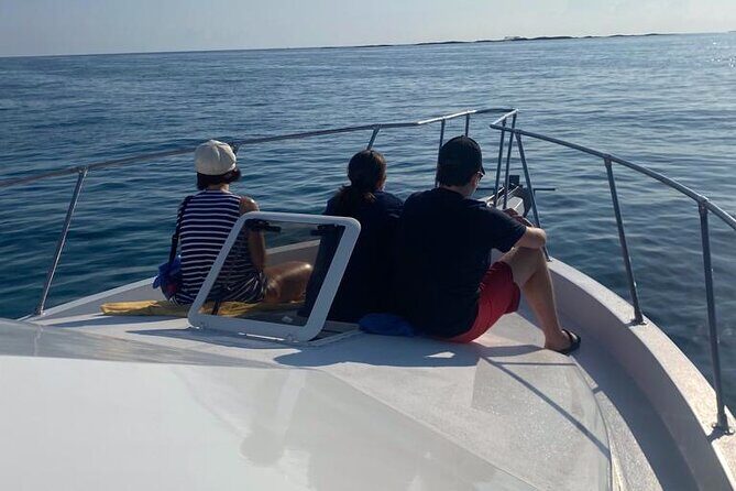 Private 38' Defender Sportfishing/Swim with Pigs in Nassau - The Itinerary and What to Expect