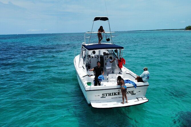 Private 38' Defender Sportfishing/Swim with Pigs in Nassau - Who Should Consider This Tour?