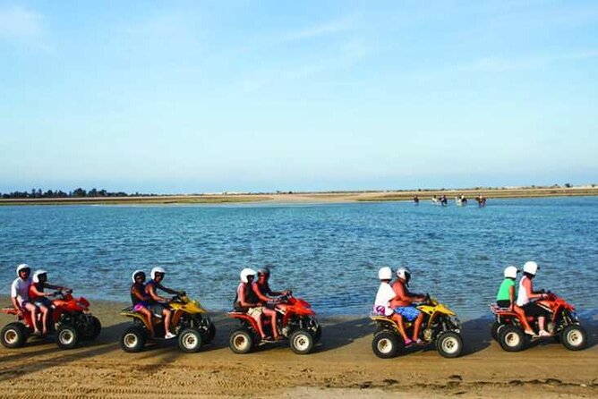 Private 3h00 Quad Ride on the Island of Djerba - Meeting and Pickup Logistics