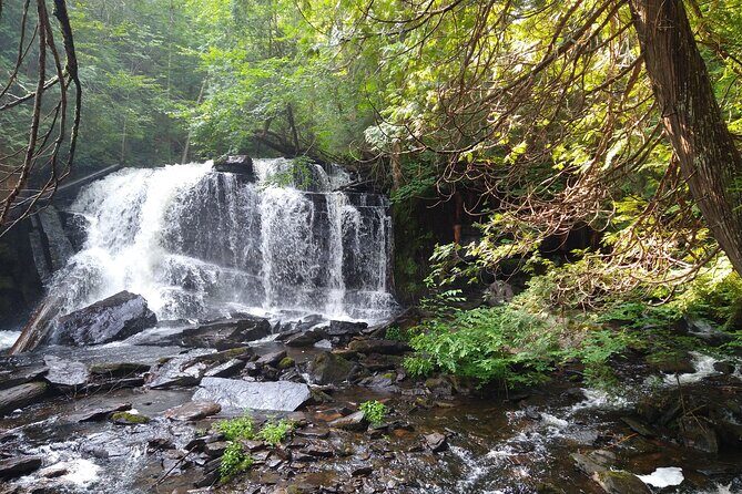 Private 4 Day Algonquin Park Backcountry Canoe Trip - The Sum Up