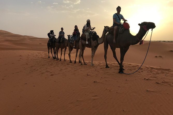 Private 4 Days Desert Tour From Fes to Marrakech - Customer Reviews