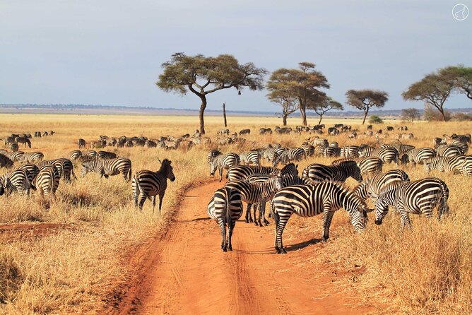 Private 4-Days Northern Circuit National Parks in Tanzania - Additional Information for Travelers