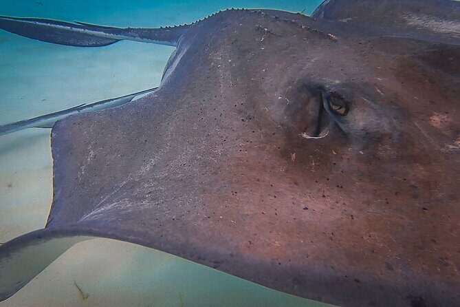 Private 4 hour Catamaran Tour - Pricing and Value: Is It Worth It?