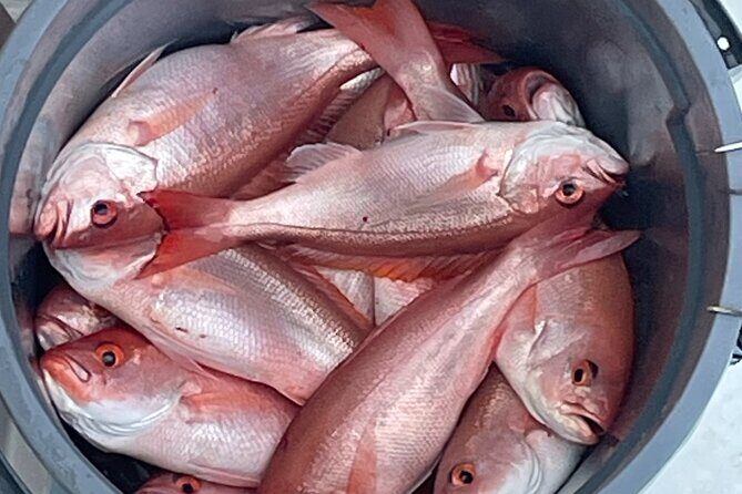 Private 4-Hour Fishing Charter on the Special K - Cost and Value