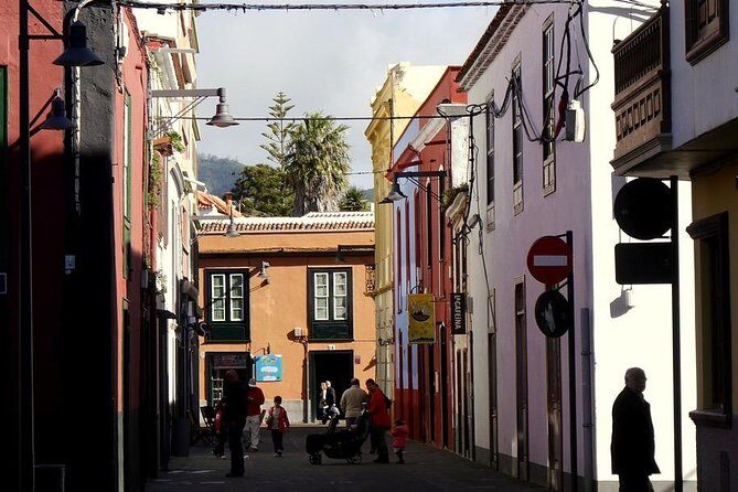 Private 4-hour Tour to La Laguna from Tenerife from Hotel or Port pick-up - Why This Tour Fits Certain Travelers Best