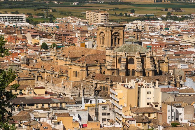 Private 4 Hour Walking Tour of Granada (Tickets to Cathedral and Royal Chapel) - Ask Away