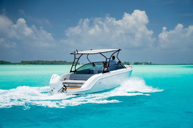 Private 4 Hours Reef Discovery Luxury Private Treasure Hunt in Bora Bora - Final Thoughts