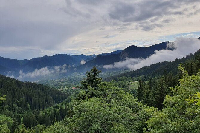 Private 4x4 Experience in the Rhodopes with Ostrich Farm Visit - Final Thoughts: Who Should Book This Tour?