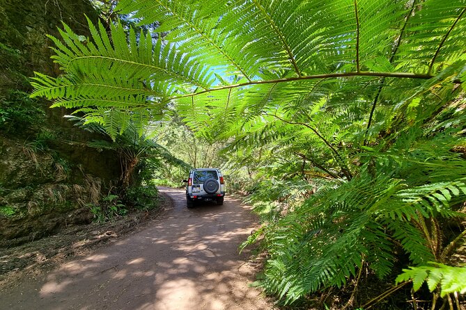 Private 4x4 Jeep Full Day Porto Moniz or Santana - Booking Your Adventure