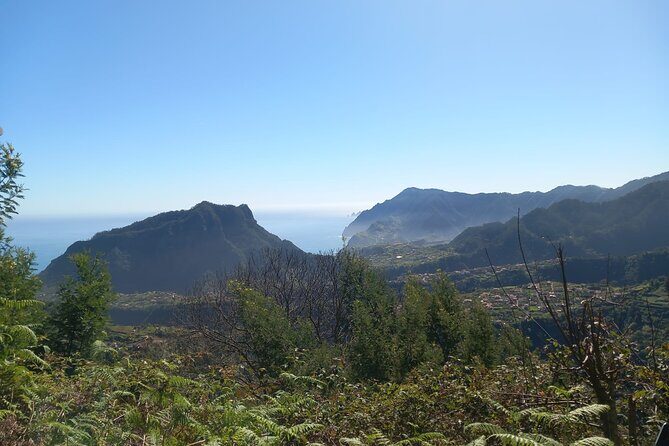 Private 4x4 Jeep Full Day to Santana or Porto Moniz - Starting Your Day in Madeira