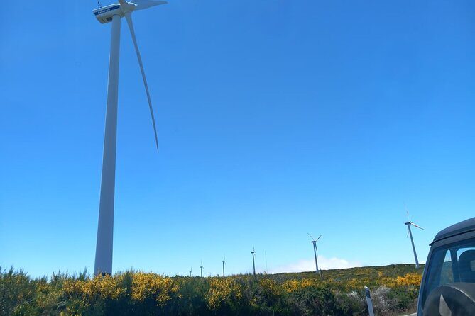 Private 4x4 Jeep Full Day to Santana or Porto Moniz - Final Thoughts