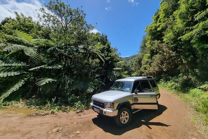 Private 4x4 Jeep Half-Day Tour - "Jurassic Park" - The Experience in Detail