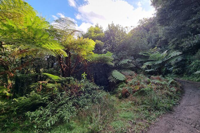 Private 4x4 Jeep Half-Day Tour - "Jurassic Park" - Who Should Consider This Tour?