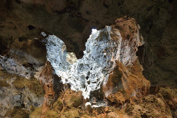 Private 4x4 Natural Pool, Caves & Baby Beach by Cross Aruba Tours - Who Will Love This Tour?