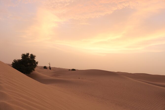 Private 4x4 Sunset Desert Drive With Wildlife Experience - Customer Feedback and Experience