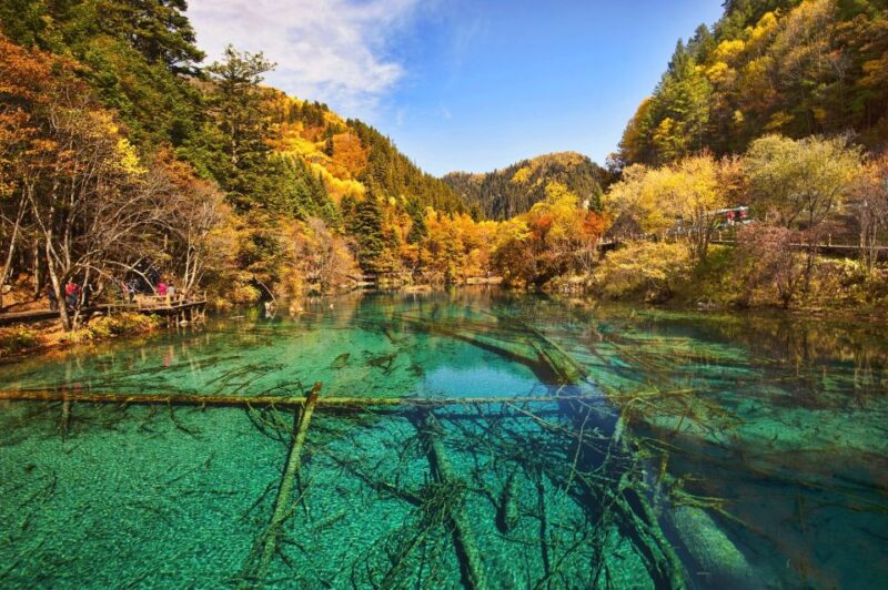 Private 5-Day Amazing Trip: Chengdu and Jiuzhaigou - Good To Know