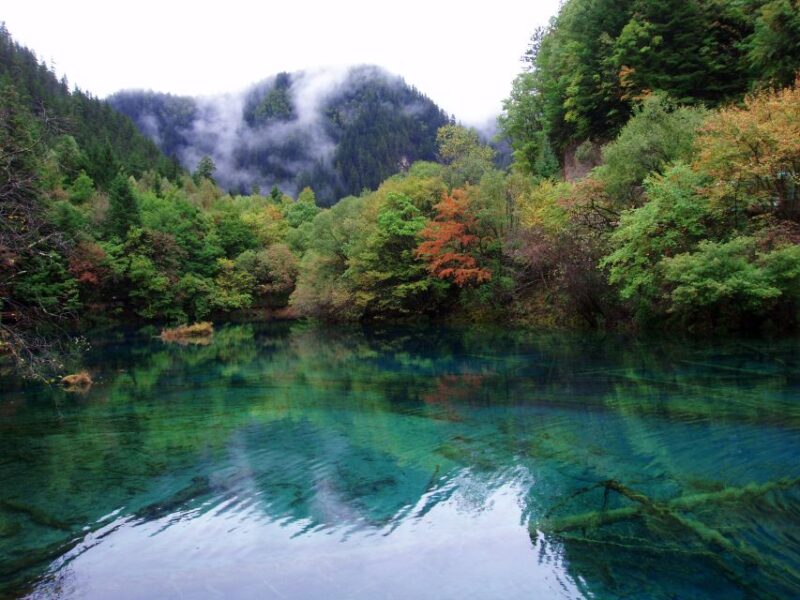 Private 5-Day Amazing Trip: Chengdu and Jiuzhaigou - Itinerary Highlights