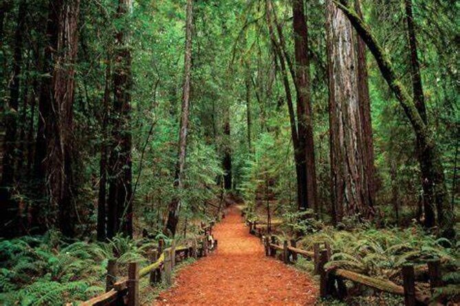 Private 5 day California Vineyards, Waves and Wine Tour - Frequently Asked Questions