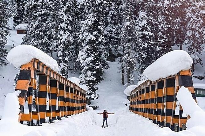 Private 5-Day Charming Kashmir Package Tour From Srinagar - Golfing Amidst Gulmargs Meadows