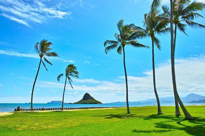 Private 5-Hour Driving Tour of Oahus Highlights - Practical Aspects and What to Expect