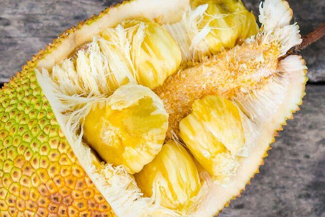 Private 5-Hour Sightseeing Tour in Tropical Gardens - What Travelers Say  