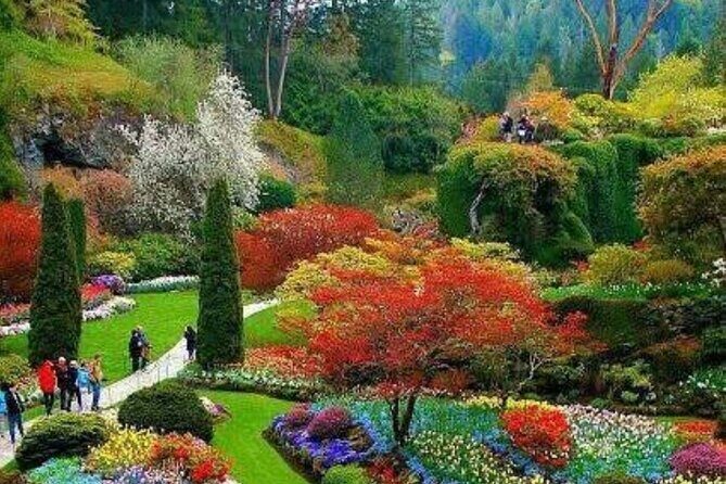 Private 5 Hour Tour of Butchart and Butterfly Gardens - The Sum Up