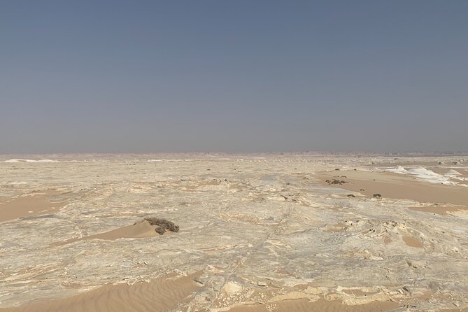 Private 5 Hours Safari by Quad Bike Hurghada + Camel Ride - Cancellation Policy