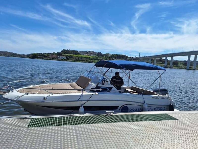 Private 6 Bridges Cruise in Porto with Optional Sunset - Key Points