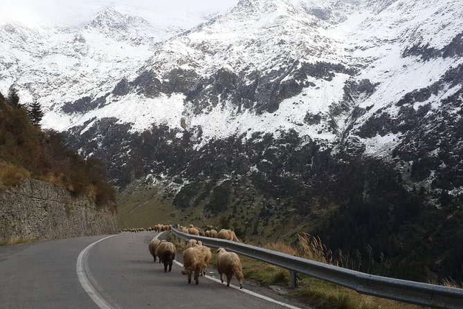 Private 6-Day Dracula Tour in Transylvania From Bucharest - Meeting & End Points