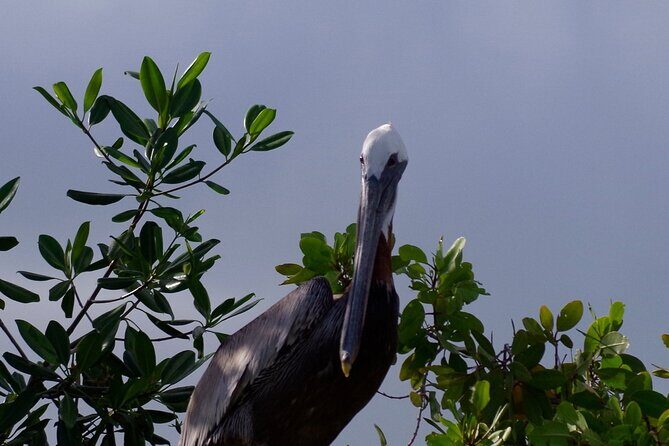 Private 6 Days All Included Tour from Sto Domingo to Punta Cana - An Inside Look at the 6-Day Itinerary