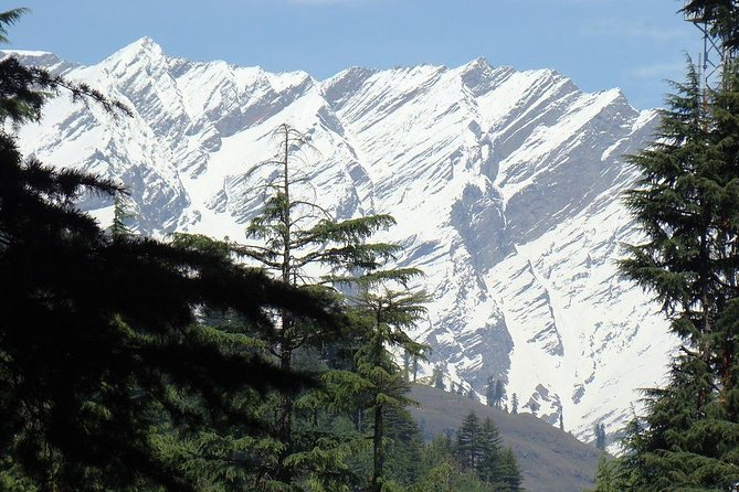 Private 6 Days Shimla Manali Tour From Chandigarh - Day 1: Arrival in Shimla