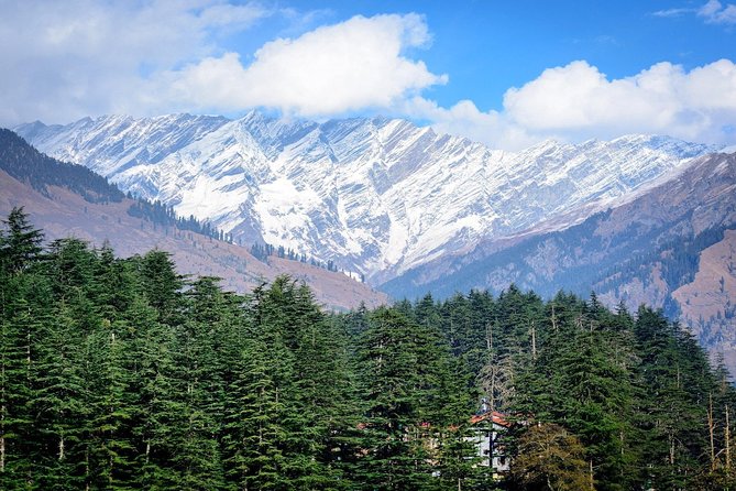 Private 6 Days Shimla Manali Tour From Chandigarh - Day 3: Journey to Manali