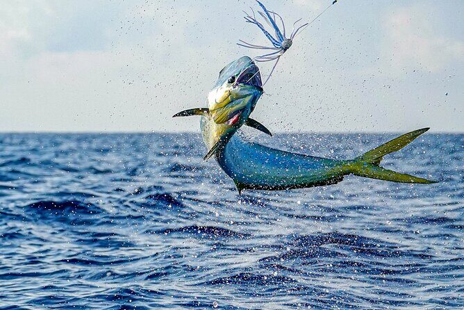 Private 6 Hour Fishing Charter in Nassau - Exploring the Value: Is It Worth the Cost?