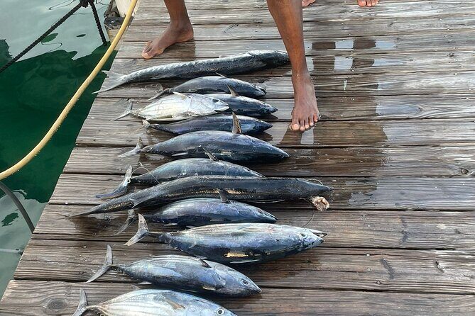 Private 6 Hour Fishing Charter in Nassau - Who Should Consider This Tour?