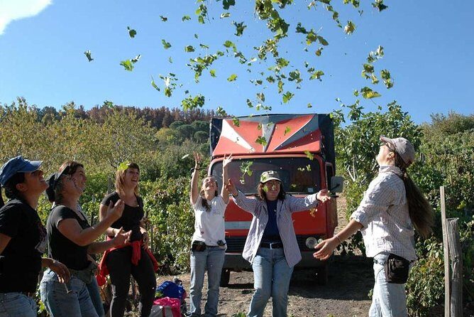 Private 6-Hour Tour of Three Etna Wineries with food&wine tasting - Authenticity & Reviews Reflection