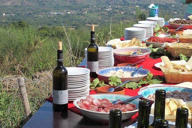 Private 6-Hour Tour of Three Etna Wineries with food&wine tasting - FAQs