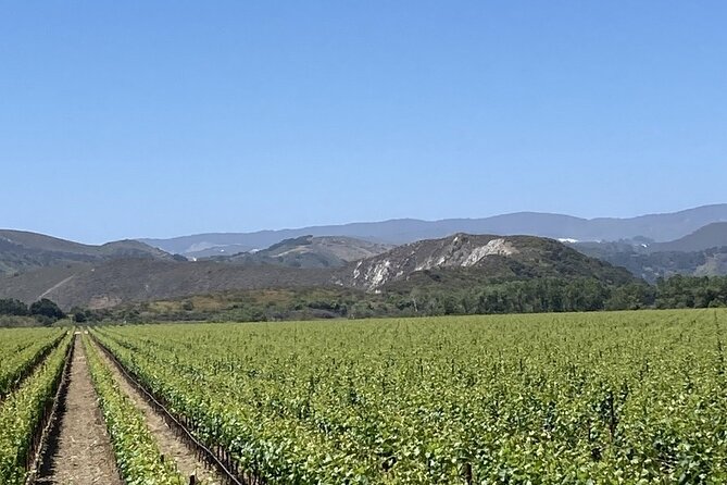 Private 6 Hour Wine Tour of Santa Barbara County - Tour Schedule
