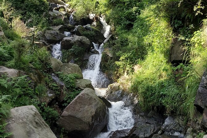 Private 6 Hrs Mcleodganj & Dharamshala City Tour - Whats Not Included