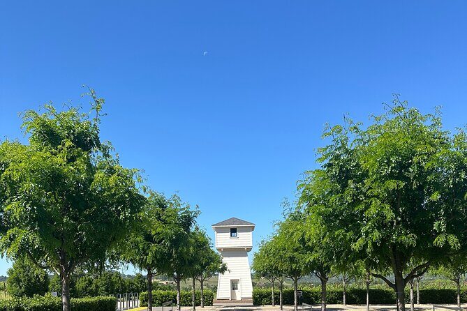 Private 6hr Wine Tour with Priority Wine Pass 2-for-1 Tastings - The Sum Up: Who Will Love This Tour?