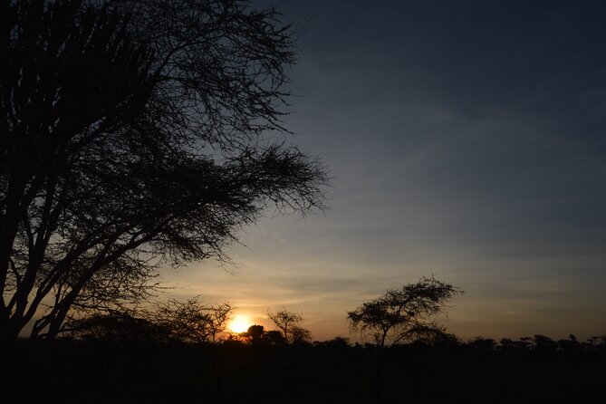 Private 7-Day Tanzania Camping Safari - Transportation Arrangements