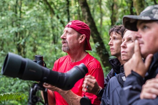 Private 8-Day Costa Rica Luxury Tour - Itinerary Overview