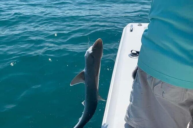 Private 8 hour Fishing Activity with Master Captain Bill - What to Expect on a Private Sarasota Fishing Trip with Captain Bill