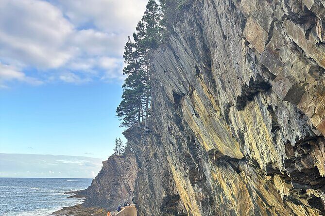 Private 8-Hour Halifax and South Shore Guided Tour - Who Will Love This Tour?