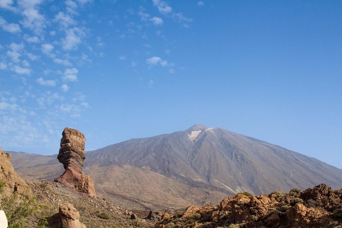 Private 8 Hours Tour to El Teide From Tenerife Hotel With Driver/Guide - About the Tour Operator