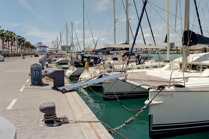 Private 9-Hour Shore Excursion From Motril Cruise Port to Malaga - Tour Accessibility