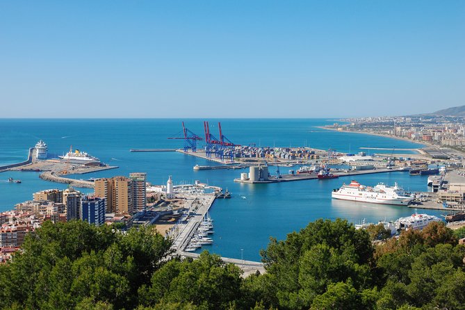 Private 9-Hour Shore Excursion From Motril Cruise Port to Malaga - Pricing and Cancellation Policy